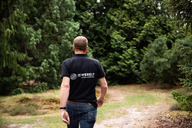 De Werelt - wandelen in de bossen